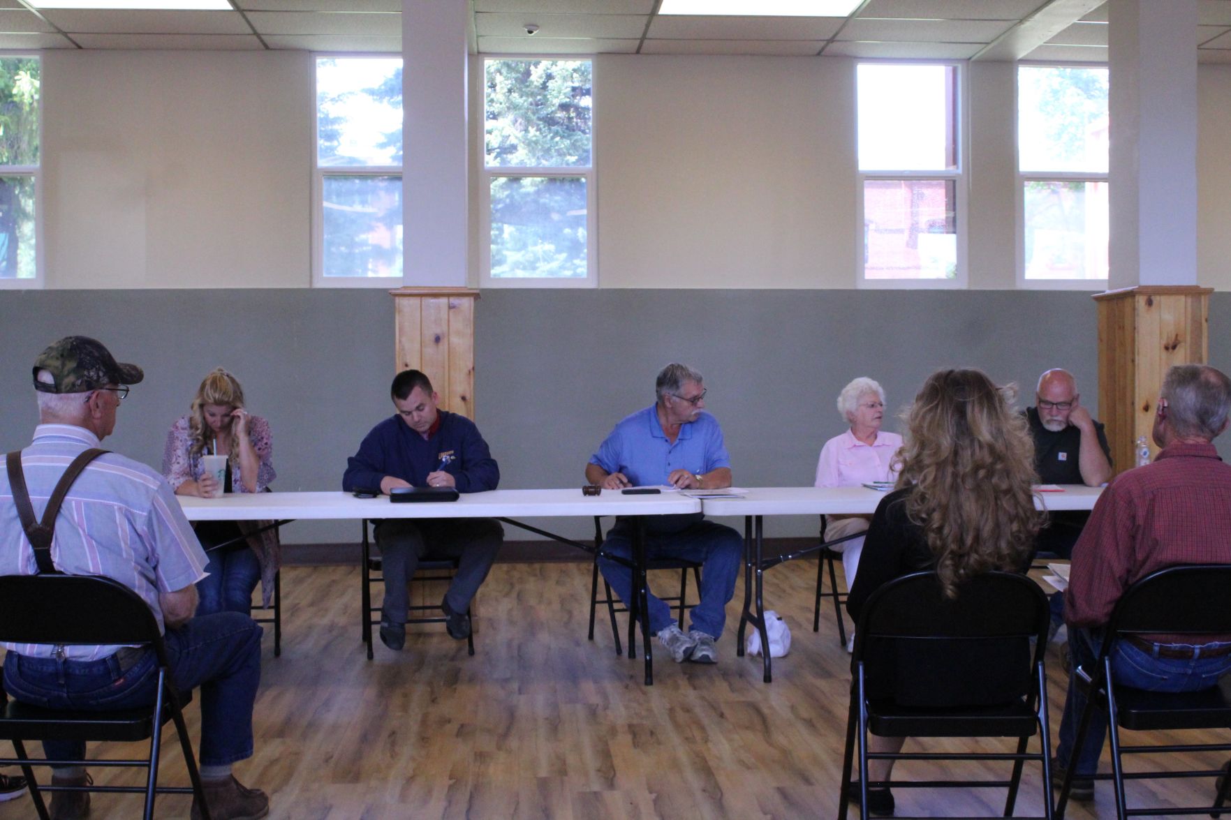 Council remands project back to planning commission